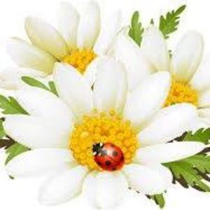 Meet your Posher, Lorilyn